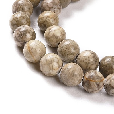 Natural Maifanite/Maifan Stone Beads Strands G-I187-10mm-01-1