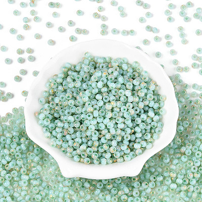 6/0 Glass Seed Beads SEED-N008-07D-1