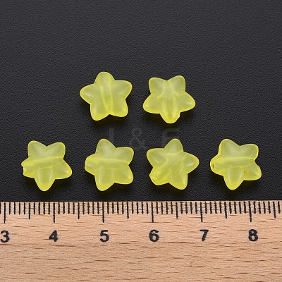 Transparent Acrylic Beads MACR-S373-26E-09-1