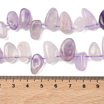 Natural Amethyst Beads Strands G-P604-A09-01-1