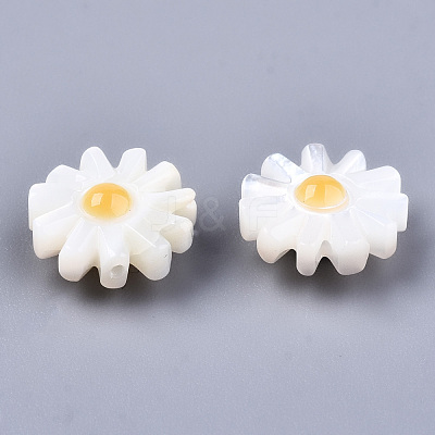Natural White Shell Mother of Pearl Shell Beads SHEL-S266-13A-1