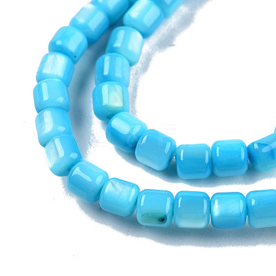 Natural Freshwater Shell Beads Strands SHEL-N003-33-A03-1