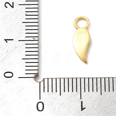 925 Sterling Silver Charms STER-Z012-04G-11-1