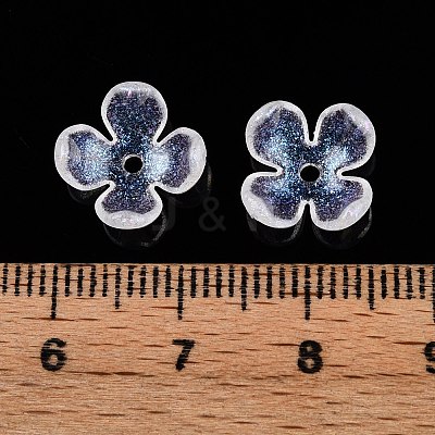 Transparent Acrylic Bead Caps OACR-ZX006-20-1