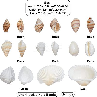 Natural Conch Shell Beads SSHEL-FH0001-05-1