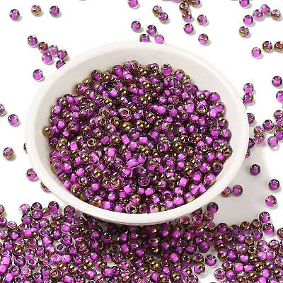 Glass Seed Beads X1-SEED-H002-B-D207-1
