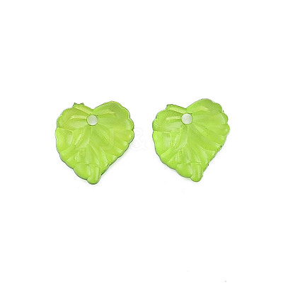 Transparent Acrylic Pendants X1-TACR-T012-05-1