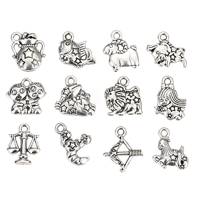Zinc Alloy Charms PALLOY-CJ0001-100-1