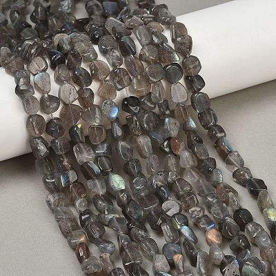 Natural Labradorite Beads Strands G-Q060-E20-01-1