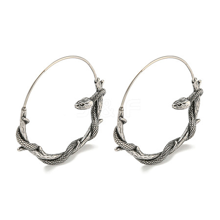 316 Surgical Stainless Steel Hoop Earrings for Women and Men EJEW-D096-22A-AS-1