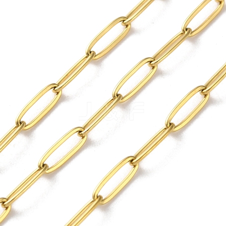 304 Stainless Steel Paperclip Chains CHS-R020-06G-03-1