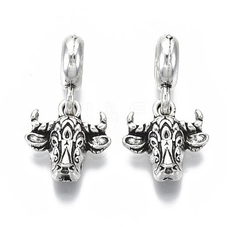 Tibetan Style Alloy European Dangle Charms MPDL-N039-013-1