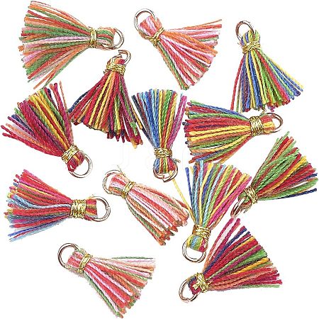 Polycotton(Polyester Cotton) Tassel Pendant Decorations FIND-CA0001-01-1