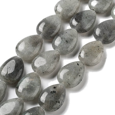 Natural Labradorite Beads Strands G-P528-L03-01-1