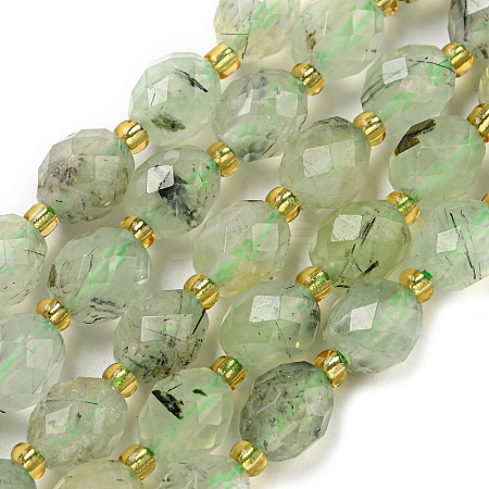 Natural Prehnite Beads Strands G-N342-58-1