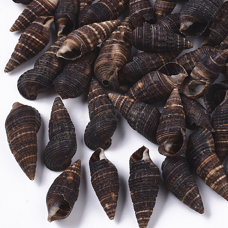 Natural Spiral Shell Beads SSHEL-S258-92-1