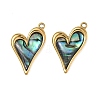 Natural Paua Shell Pendants STAS-G397-23G-02-1
