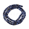 Natural Sodalite Beads Strands G-G345-C31-2x4mm-3