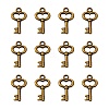 Gifts Ideas for Her Tibetan Style Alloy Charms LS-MLF11975Y-NF-1