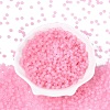 FGB Frosted Transparent Glass Seed Beads SEED-N013-02A-05-2