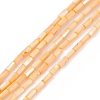 Natural Freshwater Shell Dyed Beads Strands SHEL-M018-11-02-1
