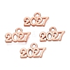 New Year's Day Alloy Charms FIND-N014-01RG-1