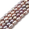 Natural Cultured Freshwater Pearl Beads Strands PEAR-I007-01P-01-2