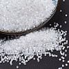 MIYUKI Delica Beads SEED-MY11-DB0670-1