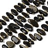 Natural Golden Sheen Obsidian Beads Strands G-L649-A04-01-2