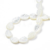 Natural Trochid Shell/Trochus Shell Beads Strands SSHEL-N034-135A-01-4