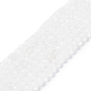 Natural Quartz Crystal Beads Strands G-H002-A02-02-1