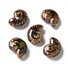 Handmade Porcelain Beads LS-PORC-L080-F08-1