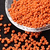 Glass Seed Beads SEED-A010-3mm-50-1