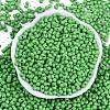 Baking Paint Glass Seed Beads SEED-K010-A27-3