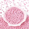 FGB Baking Paint Glass Seed Beads SEED-Q040-09A-02-2