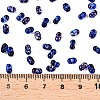 Picasso Spray Painted Glass Seed Beads SEED-T006-04-8-4