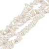 Electroplated Shell Pearl Beads Strands BSHE-H113-01A-1