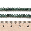 Natural Freshwater Shell Dyed Beads Strands SHEL-R100-13A-05-4