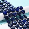 Natural Lapis Lazuli Beads Strands X-G-E614-A05-01-1