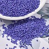 MIYUKI Delica Beads X-SEED-J020-DB1597-1