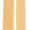 Transparent Glass Beads Strands EGLA-A044-T2mm-MB03-2