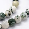 Natural Tree Agate Beads Strands X-G-I199-03-8mm-3