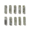 Natural Labradorite Pendants G-L593-01C-1