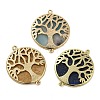 Natural Mixed Gemstone Flat Round Connector Charms G-E609-01G-1