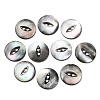 Cat Eye Style Natural Black Lip Shell Buttons SH-CBAA69B-01C-1