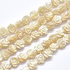 Shell Bead Strands SSHEL-P015-01B-6mm-1