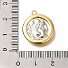 Brass Pendants KK-K389-111G-3
