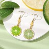 Alloy Enamel Dangle Earrings EJEW-JE06044-2