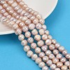 Natural Cultured Freshwater Pearl Beads Strands PEAR-I007-07Z-01A-1