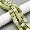 Natural Jade Beads Strands G-B155-C06-8x8mm-1